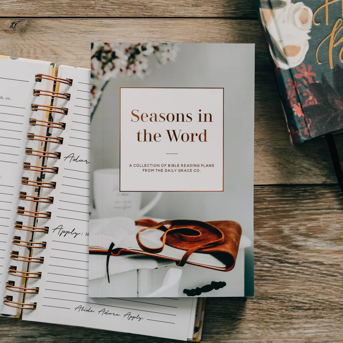 Seasons in the Word | Bible Reading Plans | The Daily Grace Co.