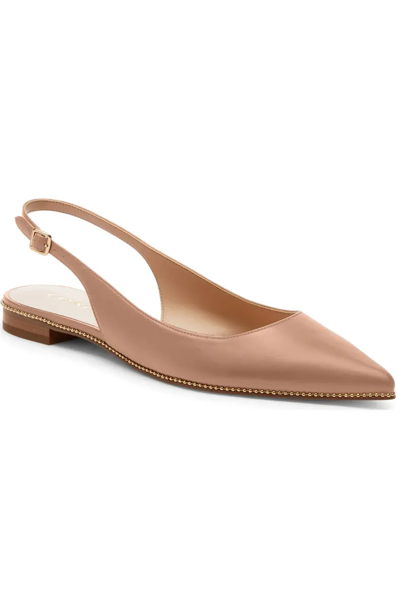 Claire Slingback Pointed Toe Skimmer Flat (Women) | Nordstrom