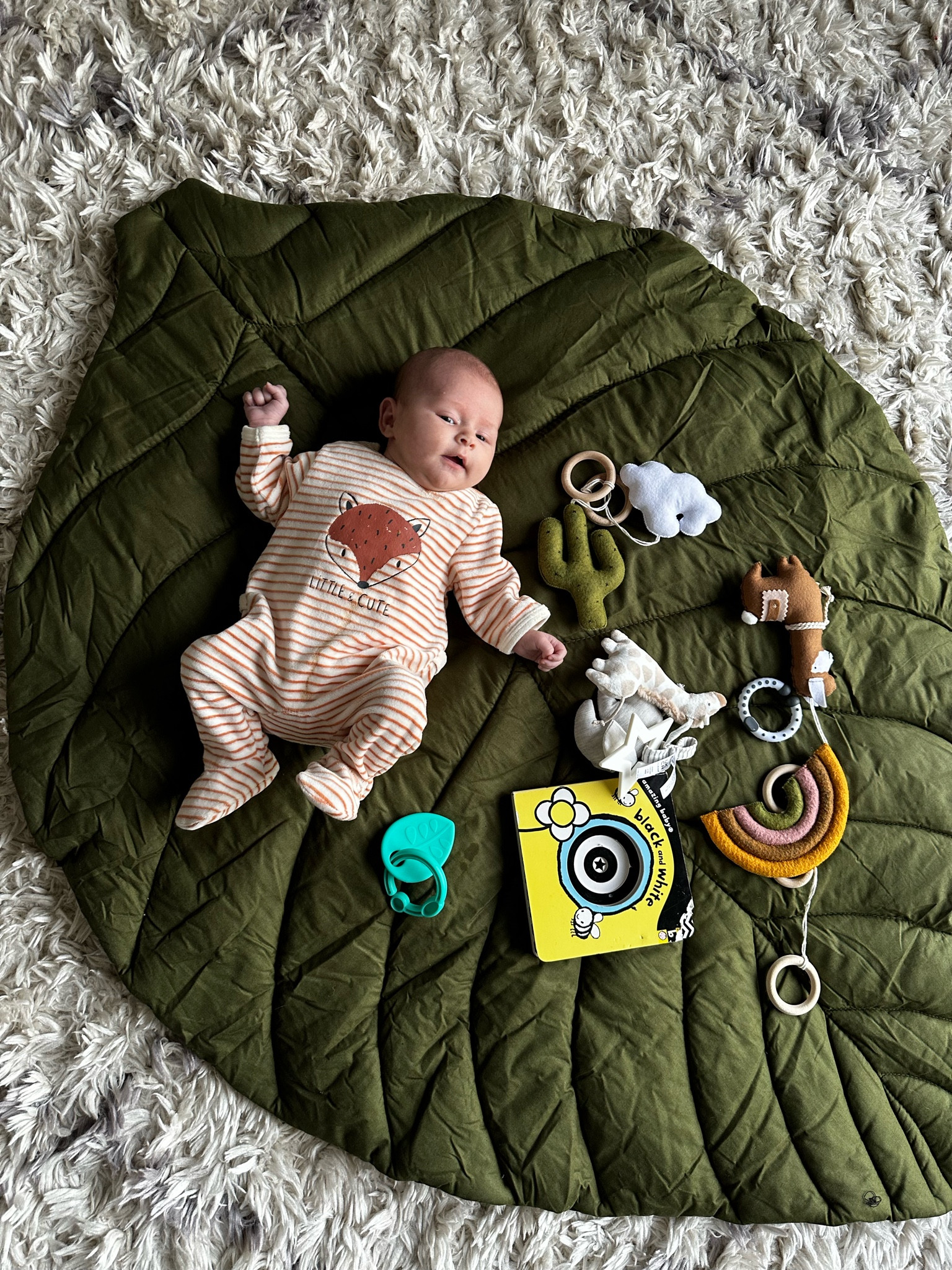 Play mat of dreams 

#LTKkids #LTKbaby #LTKbump