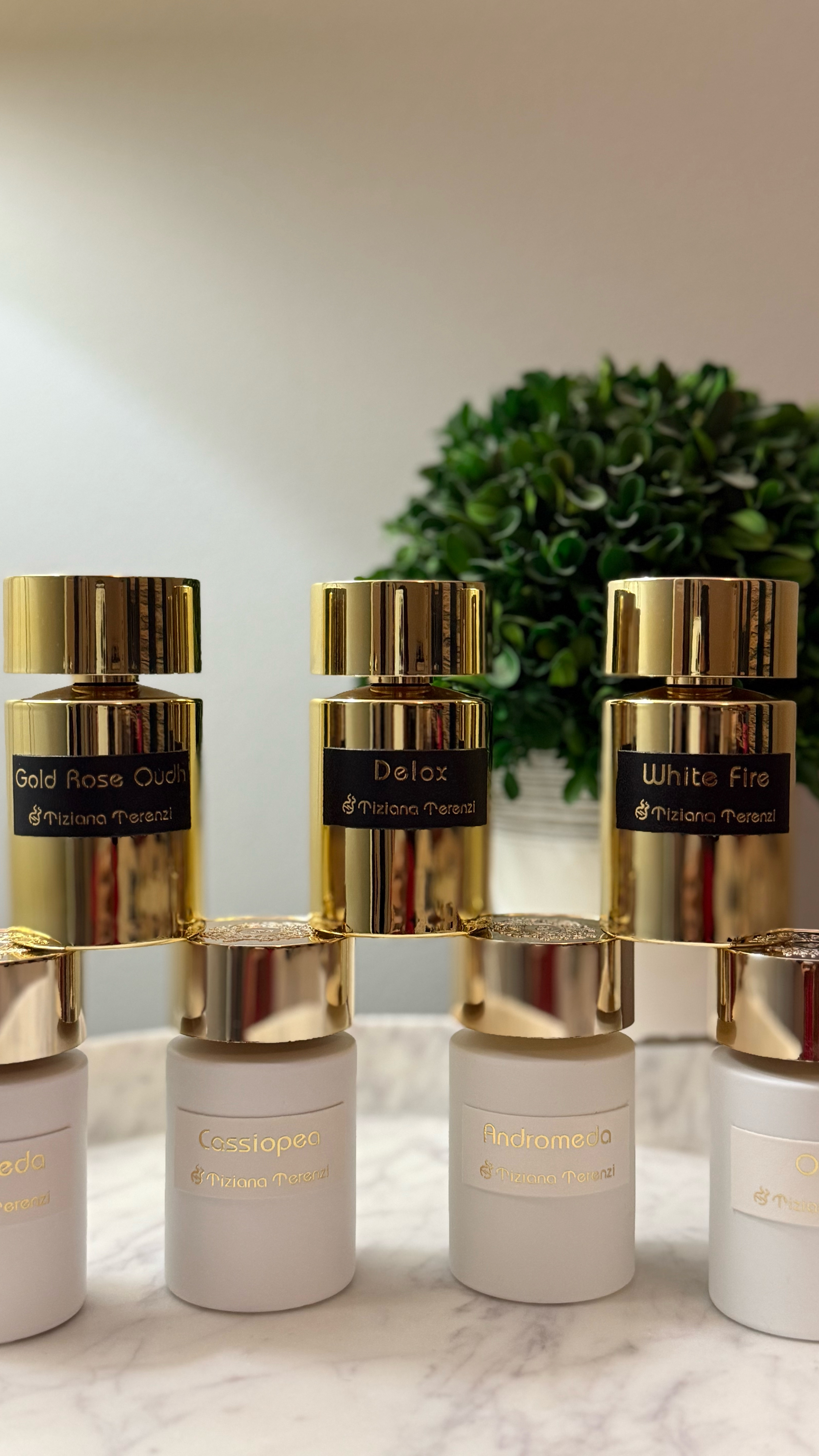 The ultimate luxury for your hair—Terenzi Hair Mist is perfume therapy in a bottle. ✨ The art of layering starts in the shower and ends with a delicate mist that lingers as you move. Nothing better than walking by and leaving a scent trail of pure elegance. Shop my Terenzi must-have on LTK! #LuxuryHair #ScentTrail #PerfumeTherapy

#LTKBeauty
