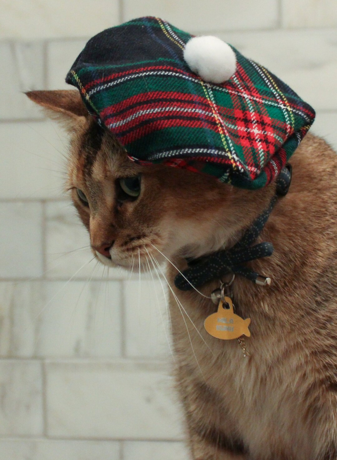 Scottish Cat Hat Green Tartan Tam Plaid Beret for Your Cat FREE SHIPPING - Etsy | Etsy (US)