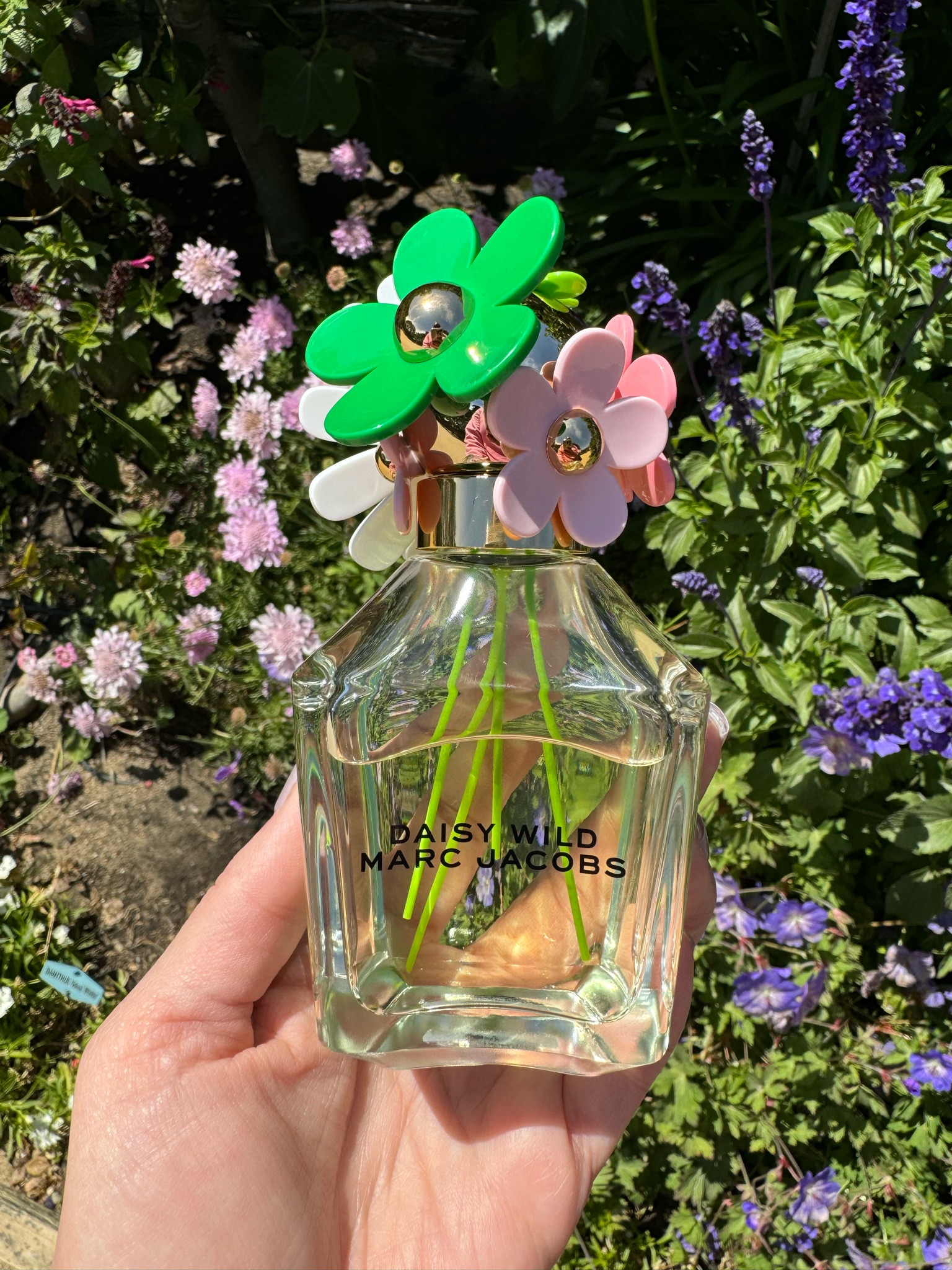 Todays scent. A lively floral bouquet that smells like summer  

#LTKStyleTip #LTKMidsize #LTKOver40