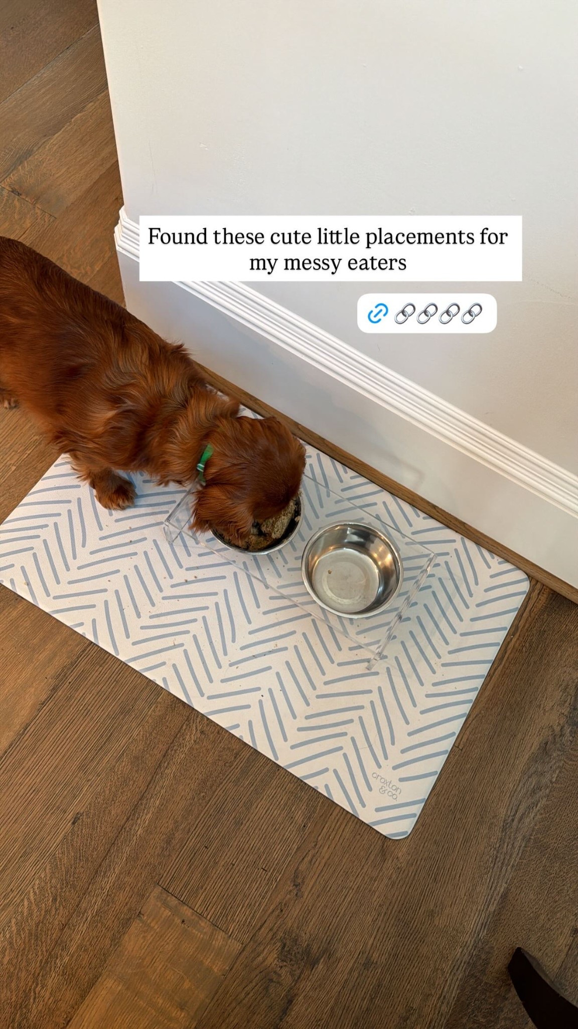 Dog mom finds that are actually cute and practical 👏🏼🐶

Found this adorable dog placemat + acrylic bowl set for messy eaters and it instantly made Maxwell’s little feeding station look so much cleaner and more pulled together. The mat wipes clean easily and the clear bowls blend in so much better with our kitchen than bulky pet bowls. Functional but still aesthetic = my favorite combo.

Linking these plus a few other chic pet finds I love for dogs, pet feeding stations, acrylic dog bowls, washable pet mats, dog mom home finds, and elevated pet accessories.

#LTKSaleAlert #LTKmomlife #LTKHome
