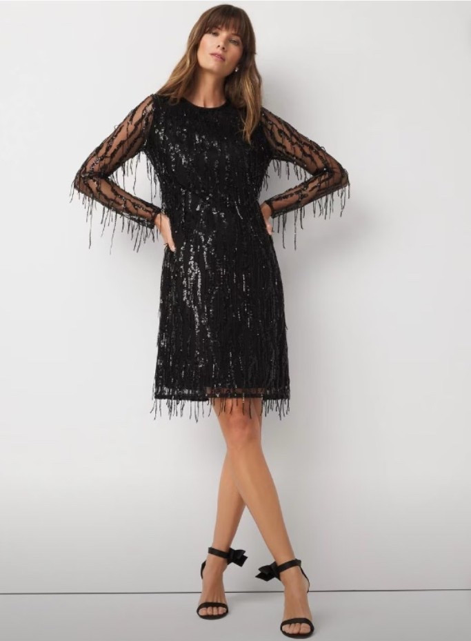Sequin Fringe Dress On Sale!

#LTKSaleAlert #LTKParties #LTKHoliday