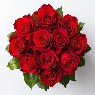 12 Stems Fresh Cut Red Roses (1-Dozen) | The Home Depot
