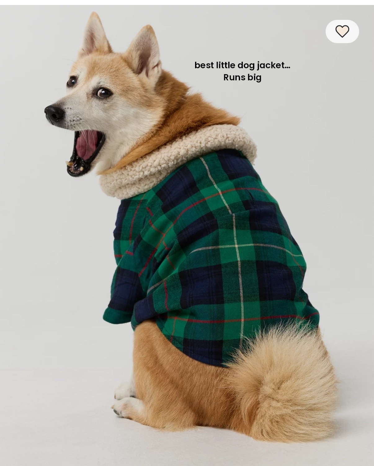 Flannel sherpa dog jacket 

#LTKSeasonal #LTKHoliday #LTKFindsUnder50