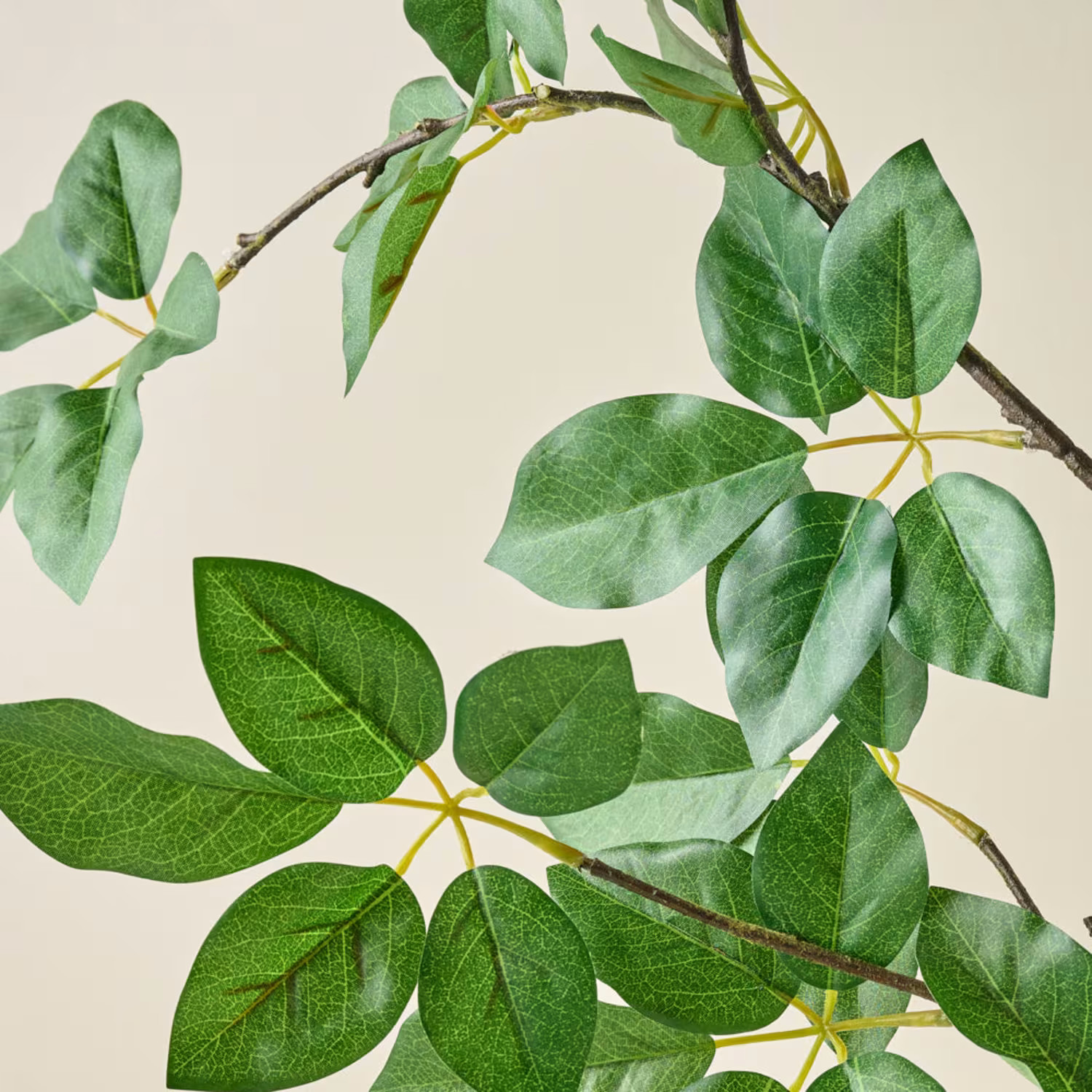 Oversized Schefflera Leaf Branch | Magnolia