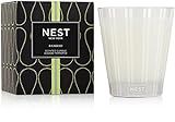 NEST Fragrances Ocean Mist & Sea Salt Scented Classic Candle | Amazon (US)