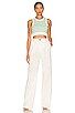 Phoebe Ultra Crop Vest in White and Green
                    
                    ALL THE WAYS | Revolve Clothing (Global)