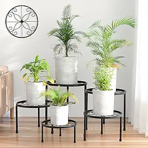 5-Pack Decent Metal Plant Stands, Heavy Duty Flower Pot Stands for Multiple Plant, Anti-Rust Iron... | Amazon (US)