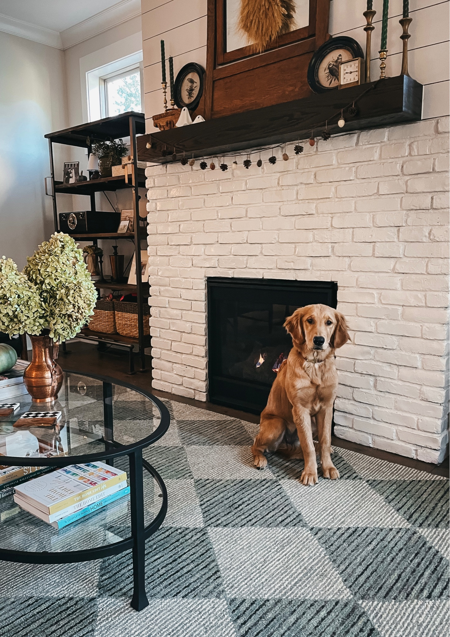 Rolled out a new rug!!