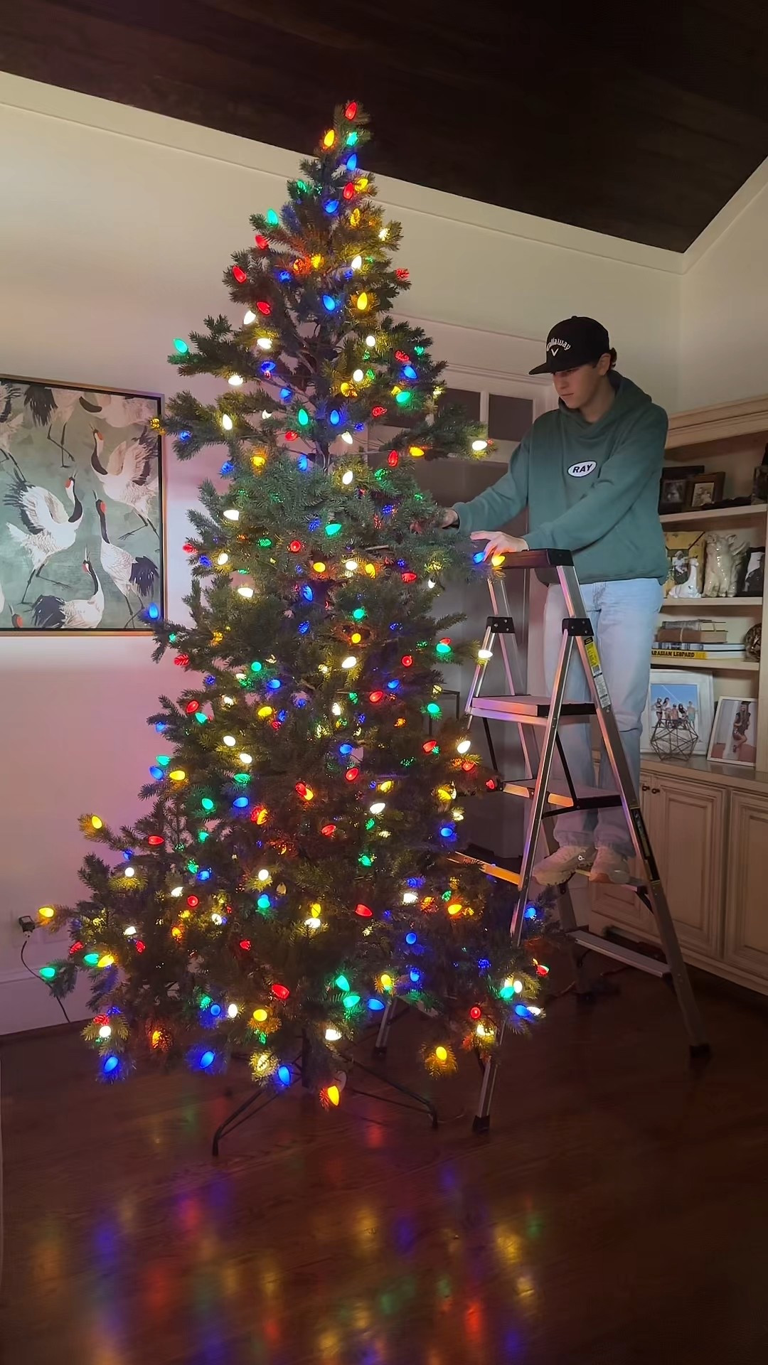 I am obsessed with the C7 lights from Balsam Hill! You choose your lights before going to checkout! This is the 9ft tree. 

Balsam Hill | Christmas Tree | Artificial Tree | Colored Lights

#LTKmomlife #LTKHoliday #LTKdayinmylife