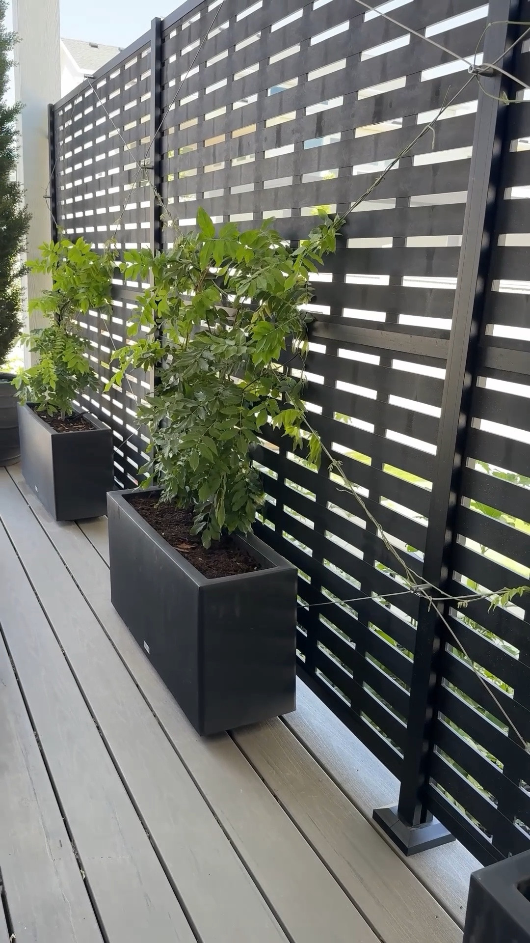 DIY privacy screen

#LTKHome #LTKSeasonal