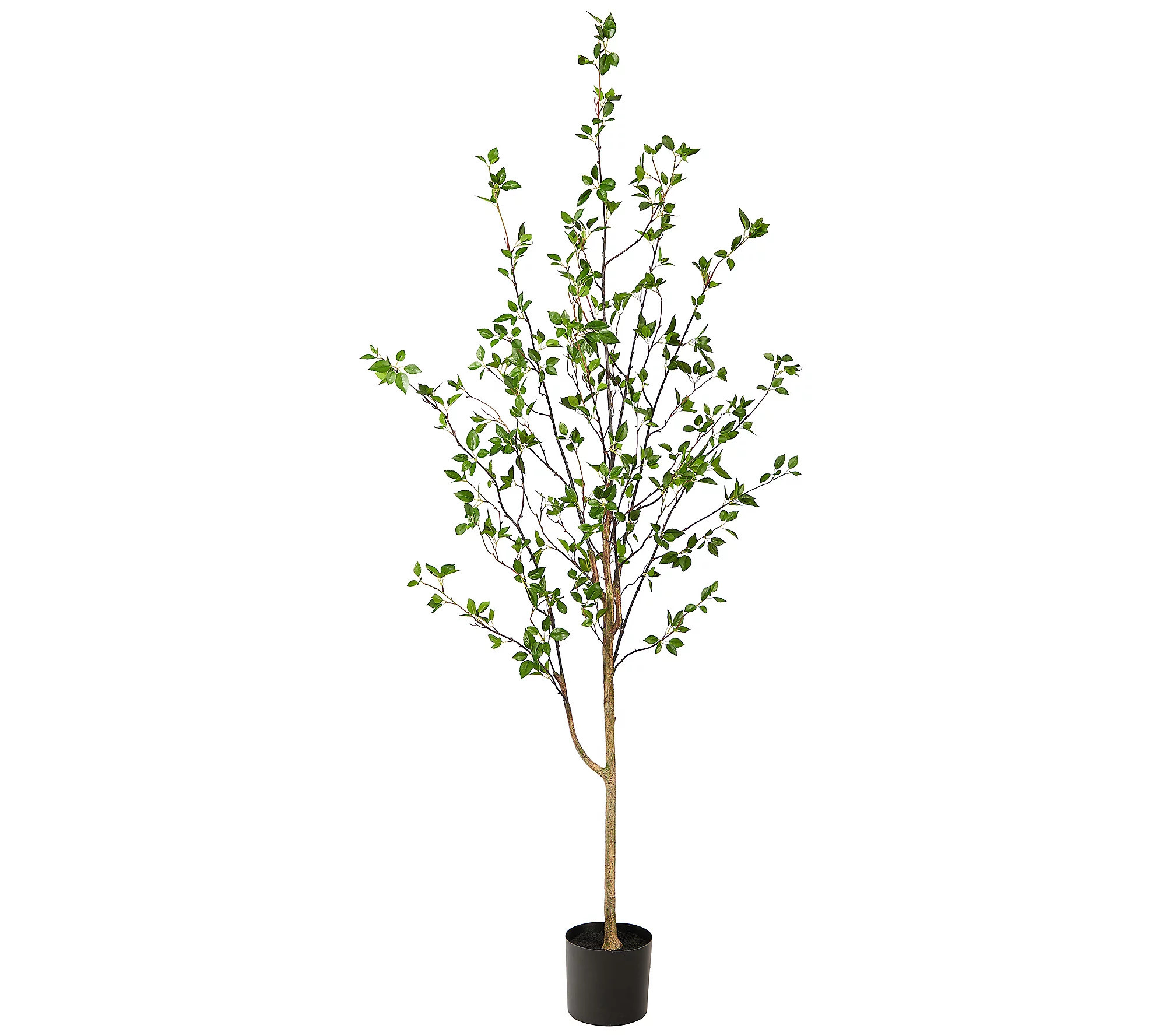 Nearly Natural 6.5' Minimalist Citrus Artificia l Tree | QVC