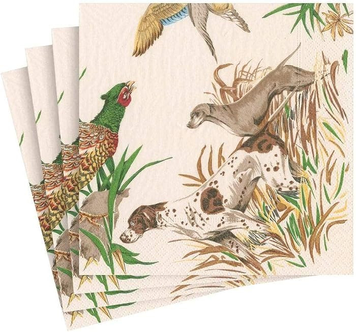 Caspari Sologne Paper Luncheon Napkins - 20 Per Package | Amazon (US)