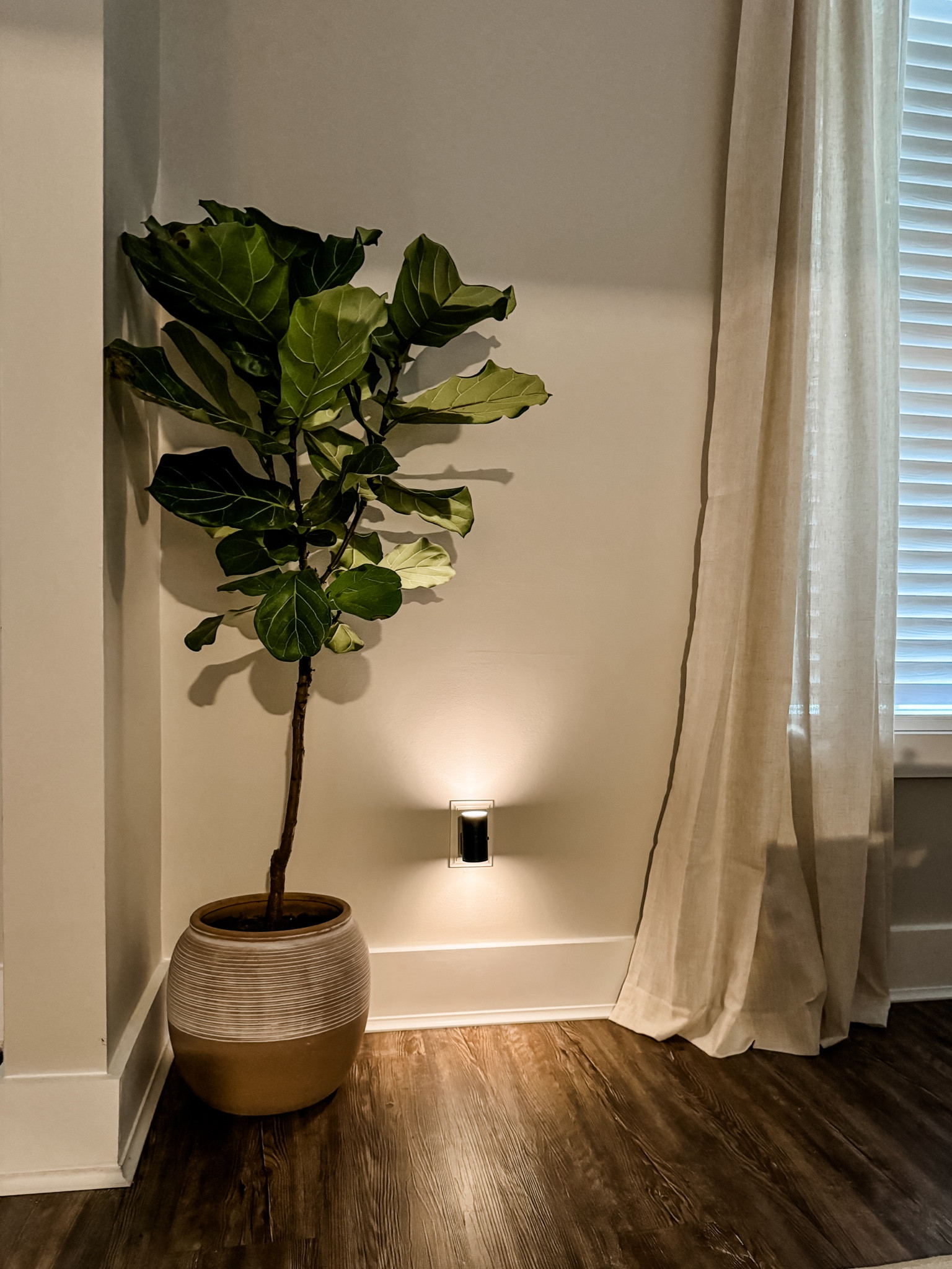 Modern Night Lights w/ Dusk to Dawn Sensor

Amazon. Prime day. 

#LTKHome #LTKStyleTip #LTKSaleAlert