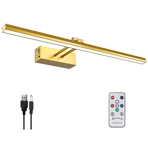 FUNCHDAY Picture Light,Battery Art Lights for Wall,Wireless Remote Painting Light with Timer and ... | Amazon (US)