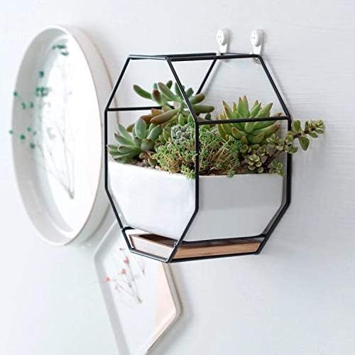 Green Thinking - White Ceramic Base Wall Planter Pot and Copper, Succulent Wall Planters | Draina... | Amazon (US)