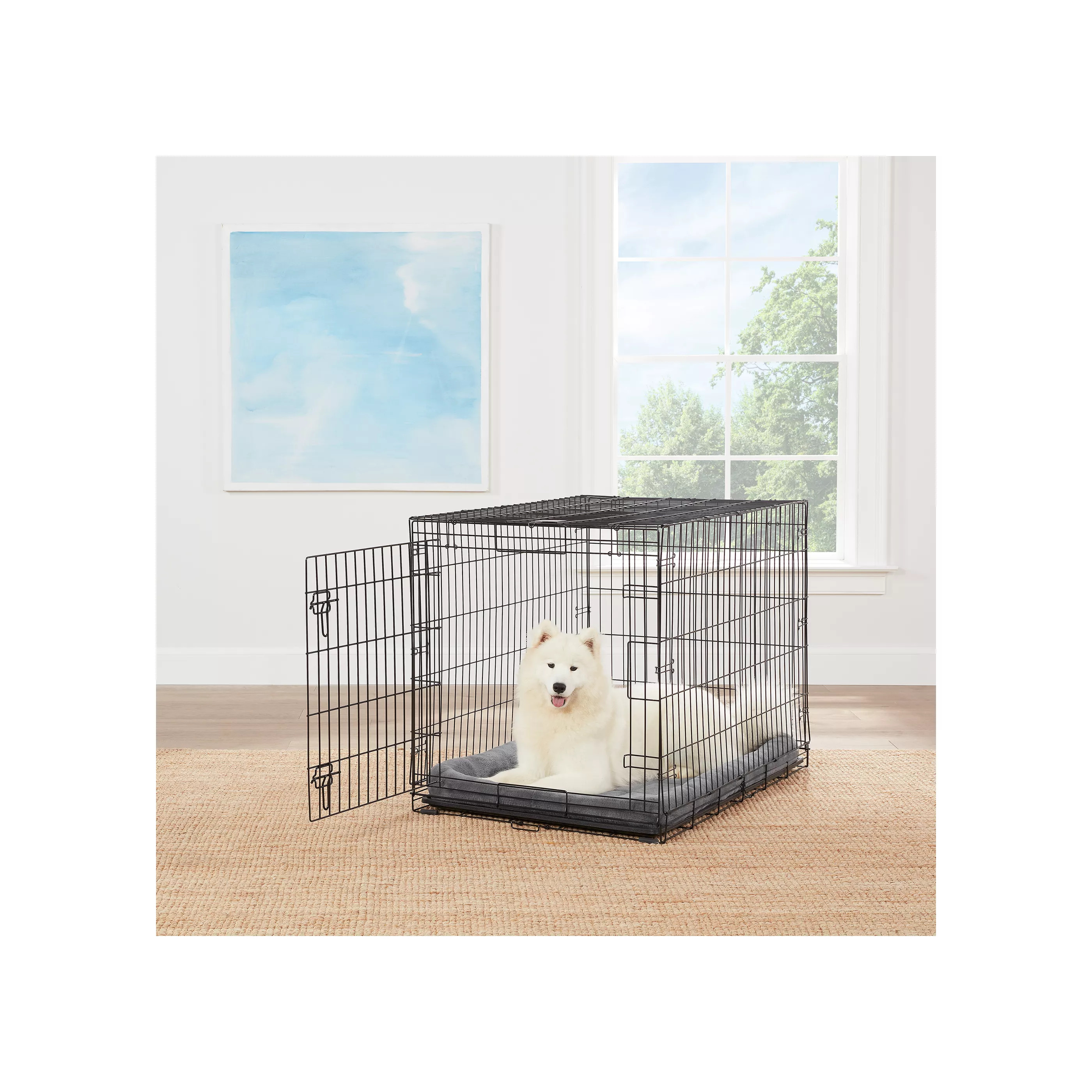 Top Paw® Single Door Folding Wire Dog Crate | PetSmart