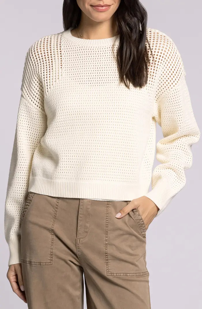 Thread & Supply Jasmine Cotton Mesh Sweater | Nordstrom | Nordstrom