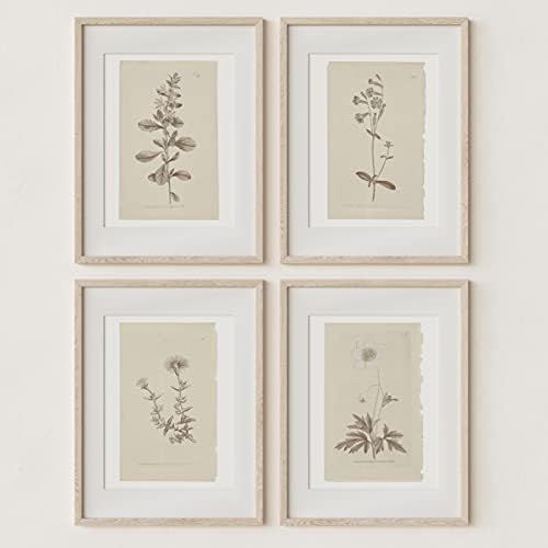 Wall Art Botanical Plant Prints | Vintage Flower Boho Minimalist Floral Artwork Decor for Bedroom, L | Amazon (US)