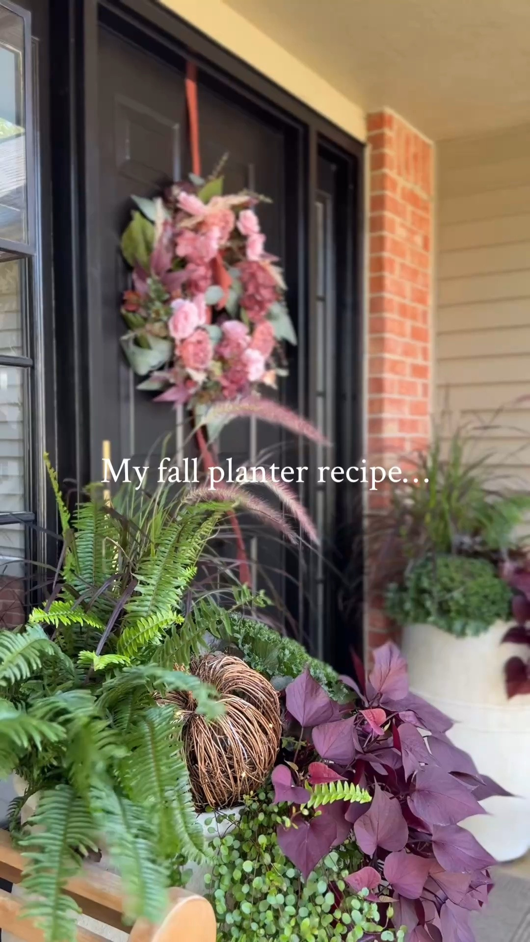 As requested, these are the plants I used for my fall porch planters.
Purple fountain grass
Kimberly queen fern
Ornamental cabbage
Coral bells
Wire vine
Sweet potato vine
In case you missed it, I shared how I saved money by splitting the fountain grass. Stay tuned, l'll be sharing how saved even more money on these plants next!

#LTKHome #LTKSeasonal #LTKSaleAlert