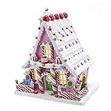 Kurt S. Adler Kurt Adler 10-Inch Pink Battery-Operated Candy LED Gingerbread House Table Piece, Mult | Amazon (US)