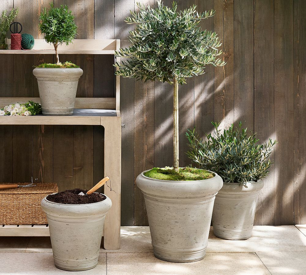 Medium - 15"H | Pottery Barn (US)