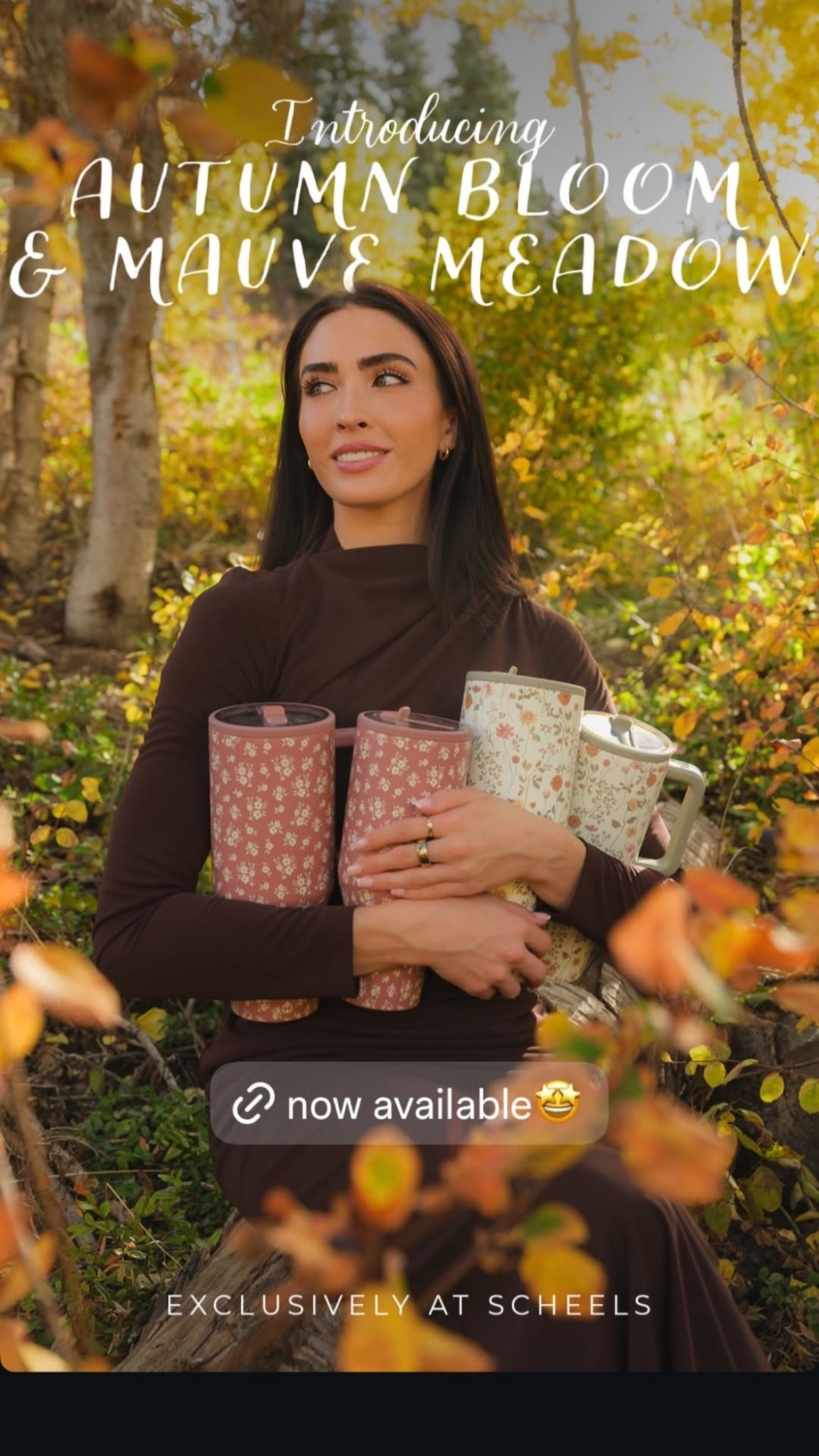 THE CUTEST NEW FALL HYDROJUGS ONLY AT SCHEELS 😍💦

#LTKTravel #LTKActive #LTKFindsUnder50