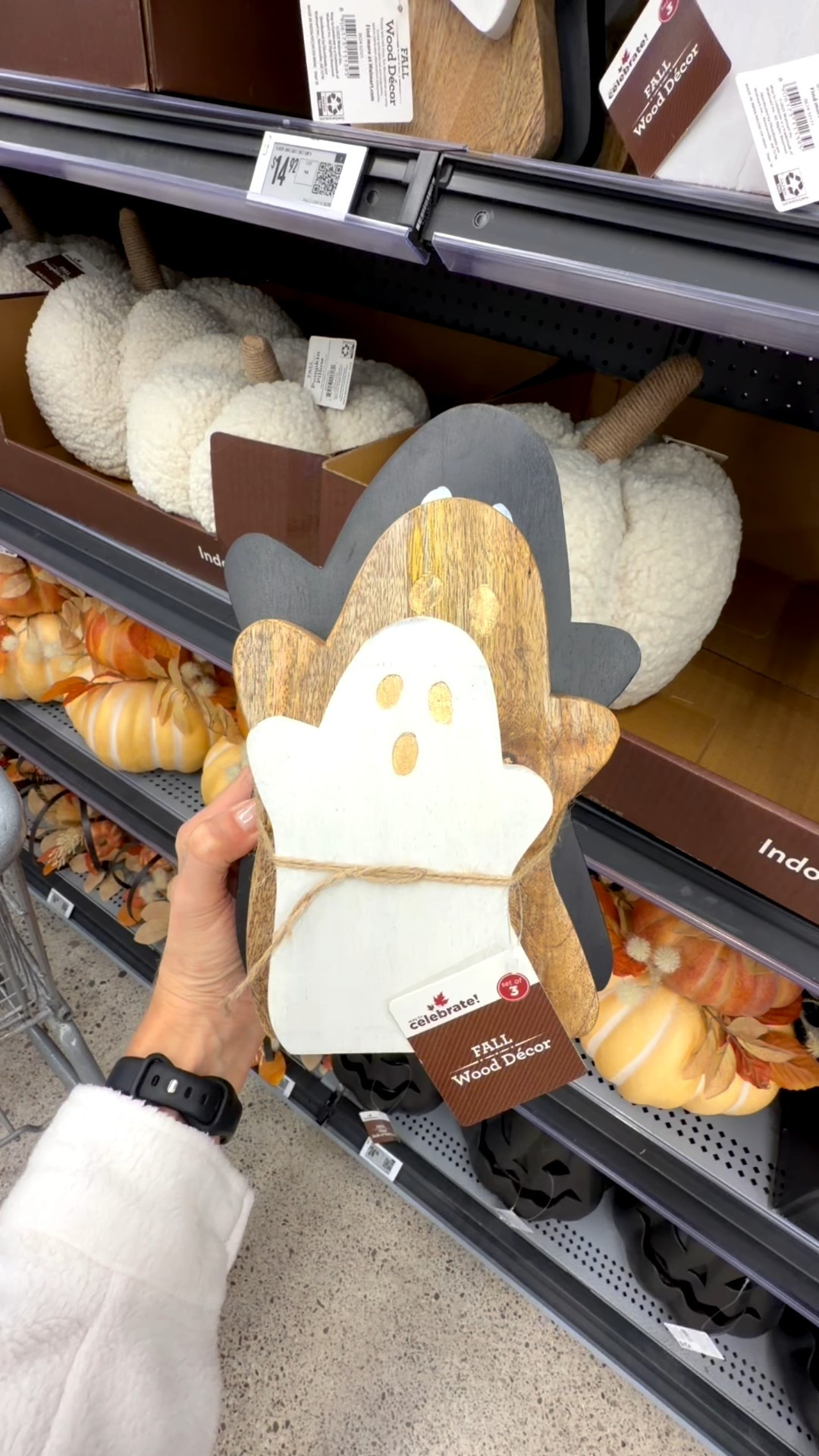 Neutral tones and a touch of Halloween 🎃✨ Found the prettiest fall decor at Walmart and of course the prices are right!  

Do you decorate for Halloween? If so do you go for the more cozy or spooky vibes?💀👻

#FallDecorInspo #WalmartHome #WalmartFinds #NeutralFallDecor #NeutralHalloween #FallHomeDecor #AffordableDecor #HomeDecorReel #BudgetFriendlyDecor #HomeDecorInspo 

#LTKSeasonal #LTKFindsUnder50 #LTKHalloween