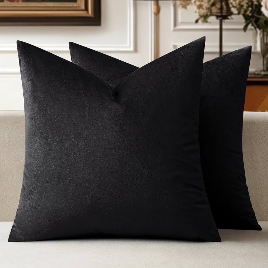 MIULEE 24x24 Inch Euro Sham Velvet Pillow Covers, Set of 2 Large Square Decorative Pillows -Black... | Amazon (US)