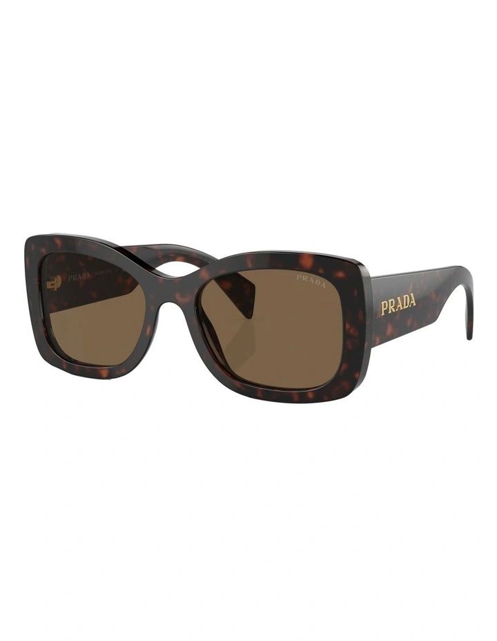 PR A08S Sunglasses in Brown | Myer