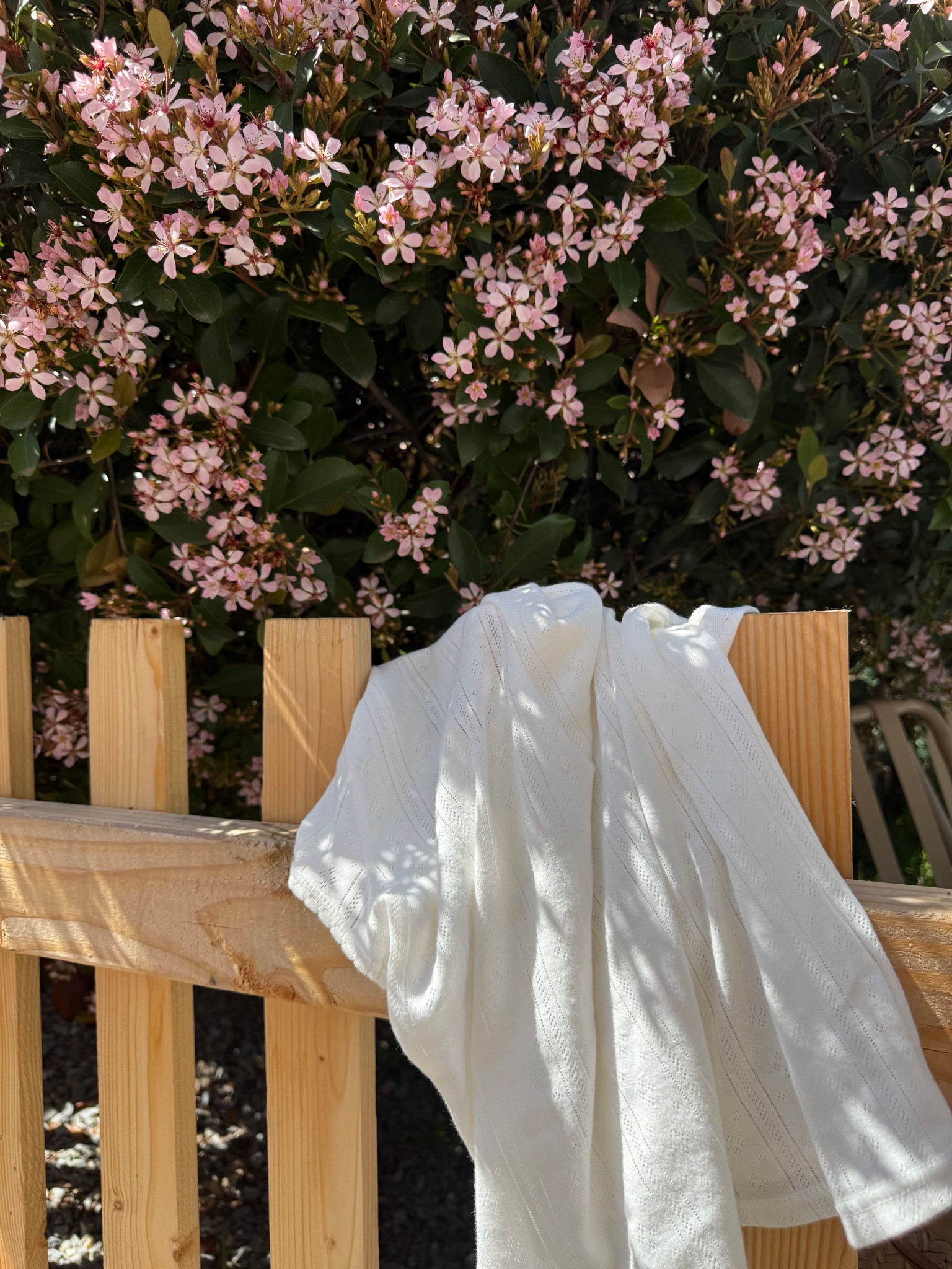 my fav dupes from #aerie