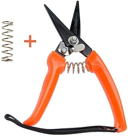 Hoof Trimmers Goat Hoof Trimming Shears Nail Clippers for Sheep, Alpaca, Lamb Hooves Multiuse Car... | Amazon (US)