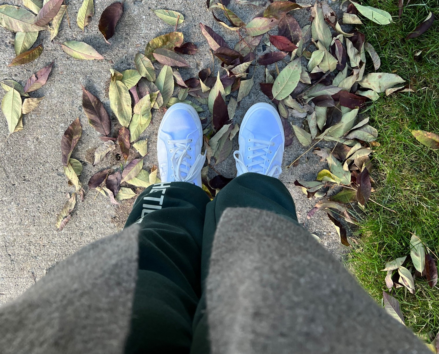 Love my Tommy Hilfiger shoes. Very comfortable and cute too. 


#LTKtravel #LTKcanada #LTKworkwear