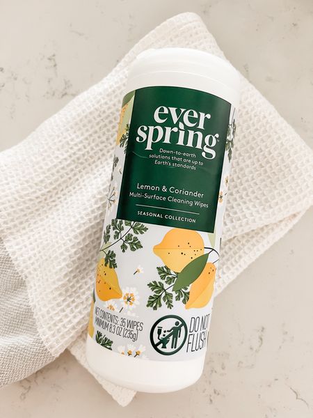 Favorite cleaning wipes 🍋

#LTKSeasonal #LTKhome