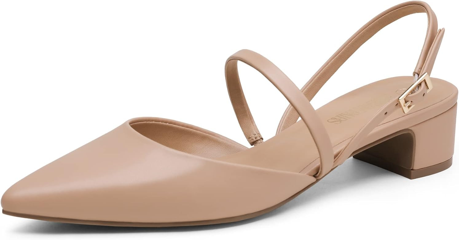 DREAM PAIRS Women's Pumps Chunky Closed Toe Low Block Heels Strappy Buckle Pointed Toe Slingback Dre | Amazon (CA)