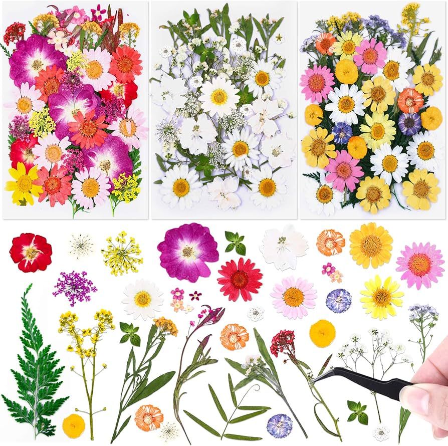 120 PCS Dried Flowers for Resin Molds, Natural Pressed Flowers Leaves Herbs kit with Tweezers for... | Amazon (US)