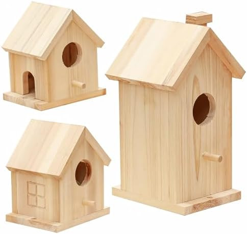Wooden Bird House Kit,Outdoor Hanging DIY Birdhouse Kit for Kids Woodcraft,Bird Houses for Outsid... | Amazon (US)