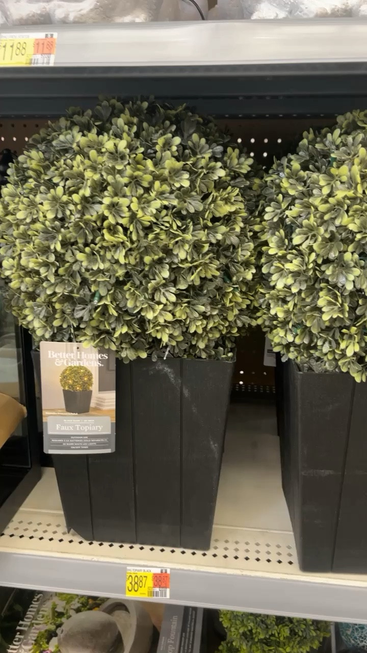 Great outdoor plants! They light up too!

#LTKhome #LTKunder50