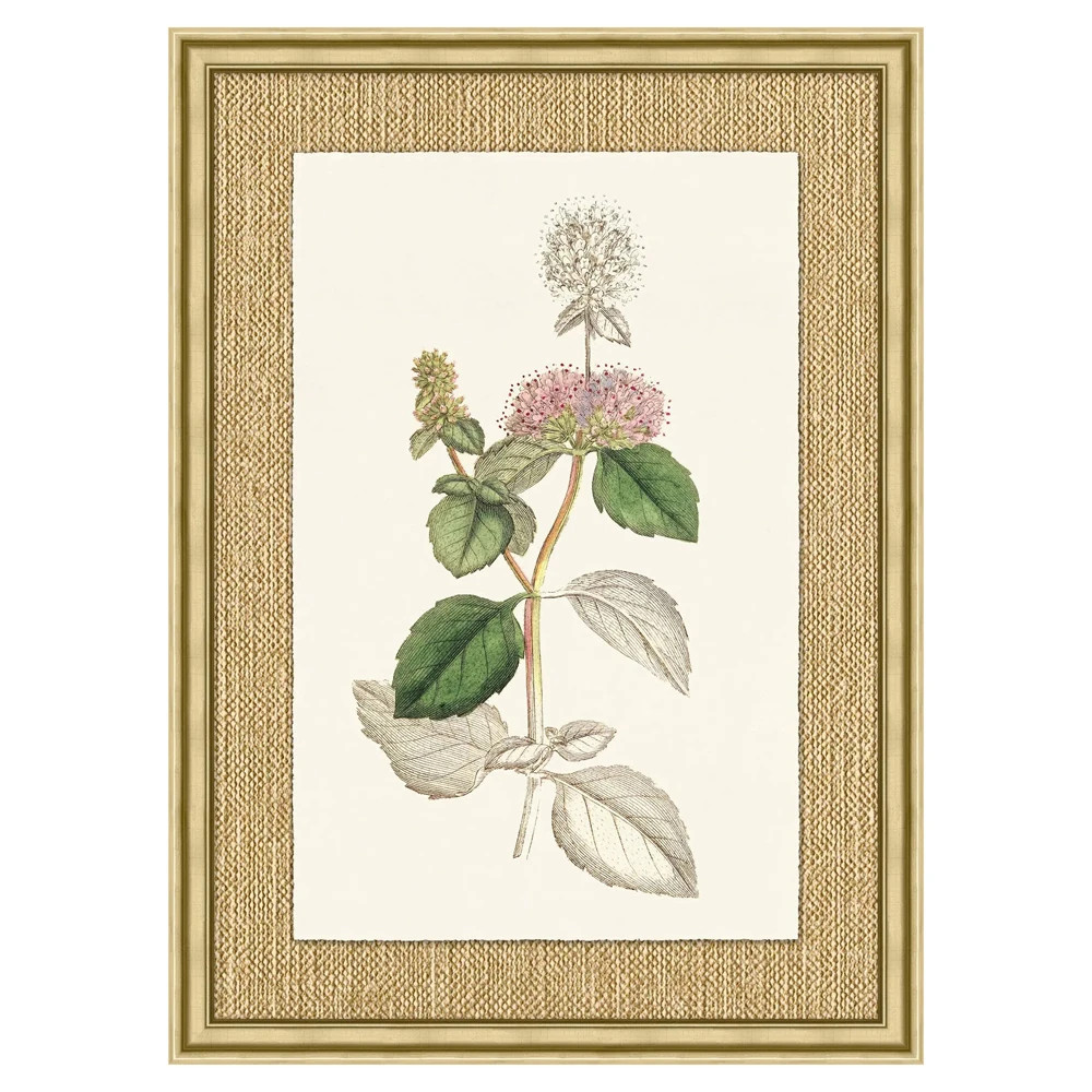 Mavis Updated Traditional Green Botanical Gold Frame Illustration 5 - 37x27 | Kathy Kuo Home