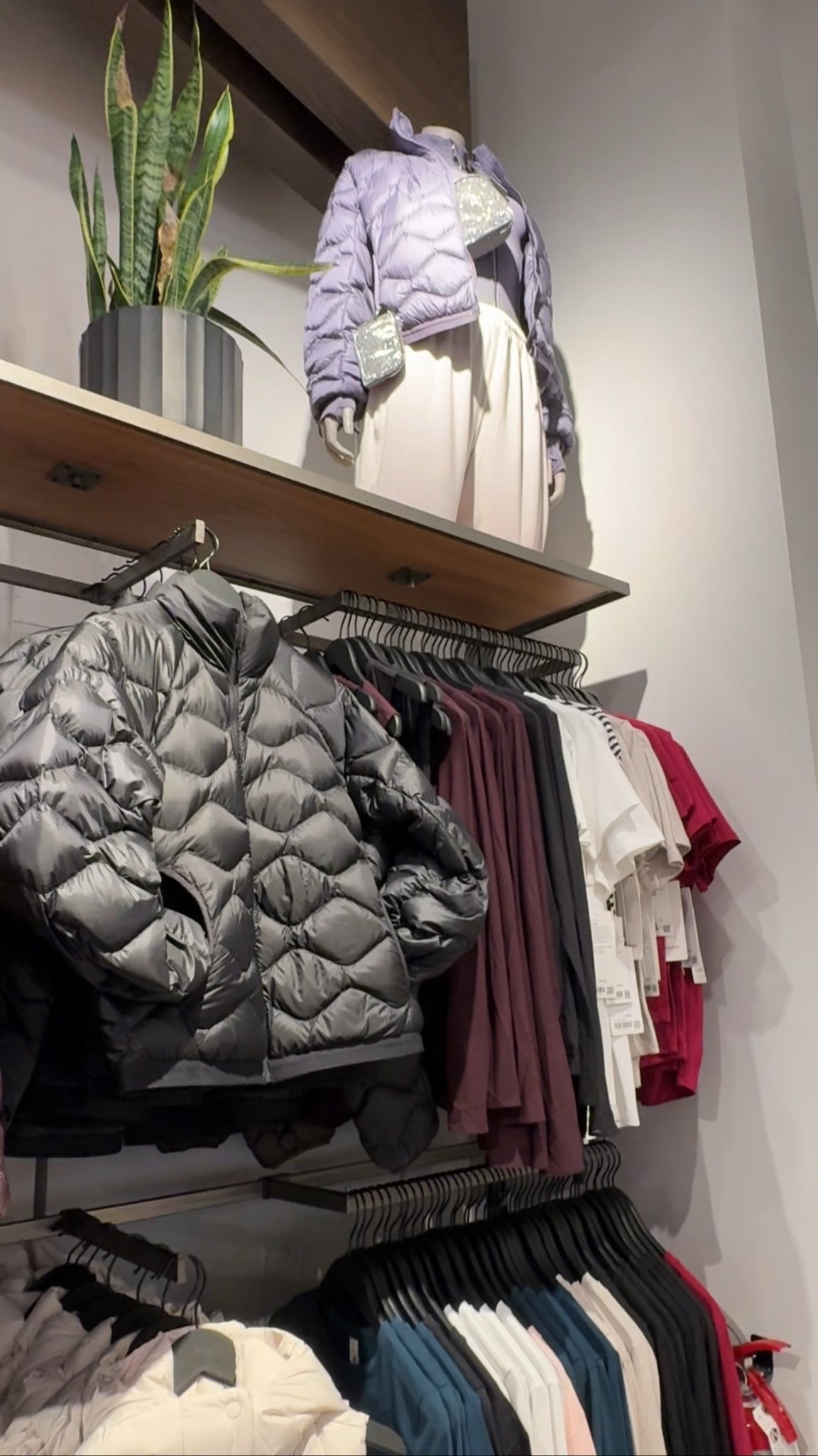 Featherweight jacket

#LTKHoliday #LTKGiftGuide #LTKActive