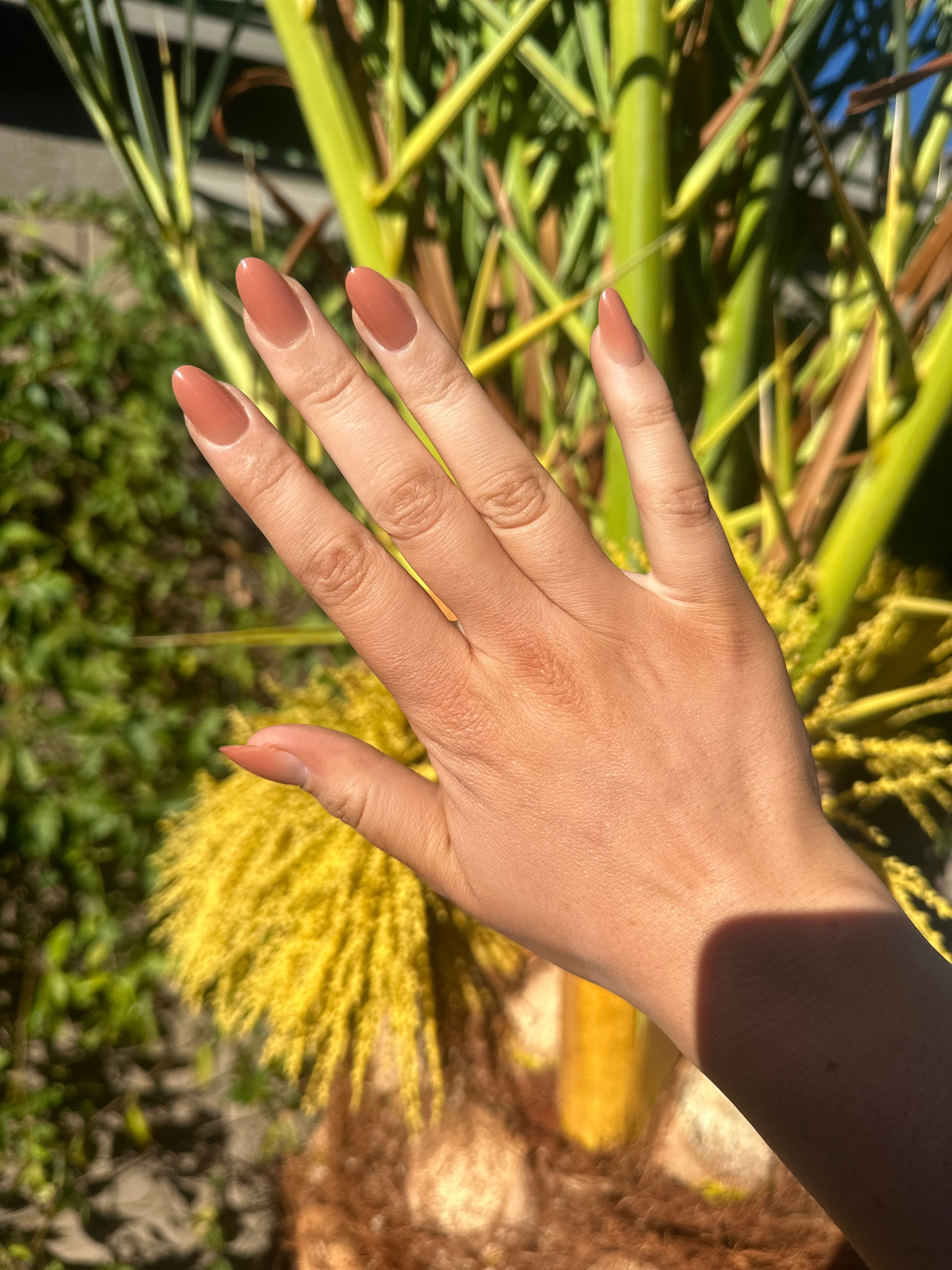 Thanksgiving press-on nails! 

#LTKFindsUnder50 #LTKFindsUnder100 #LTKSeasonal