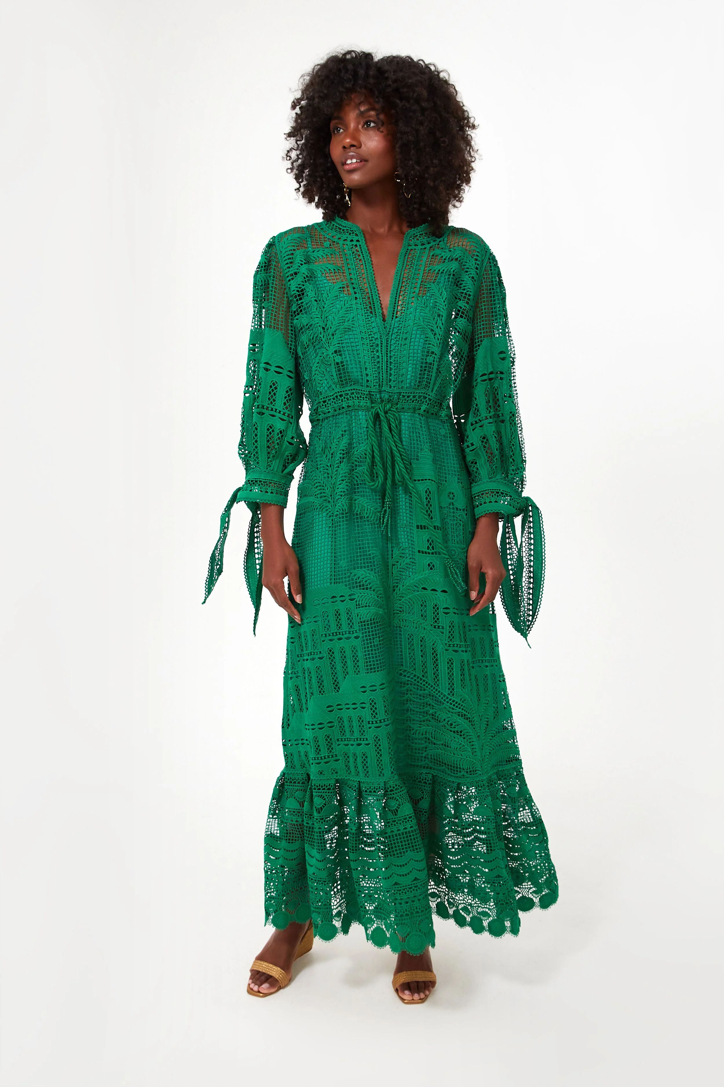 Green Morada Boa Guipure Dress | Tuckernuck (US)