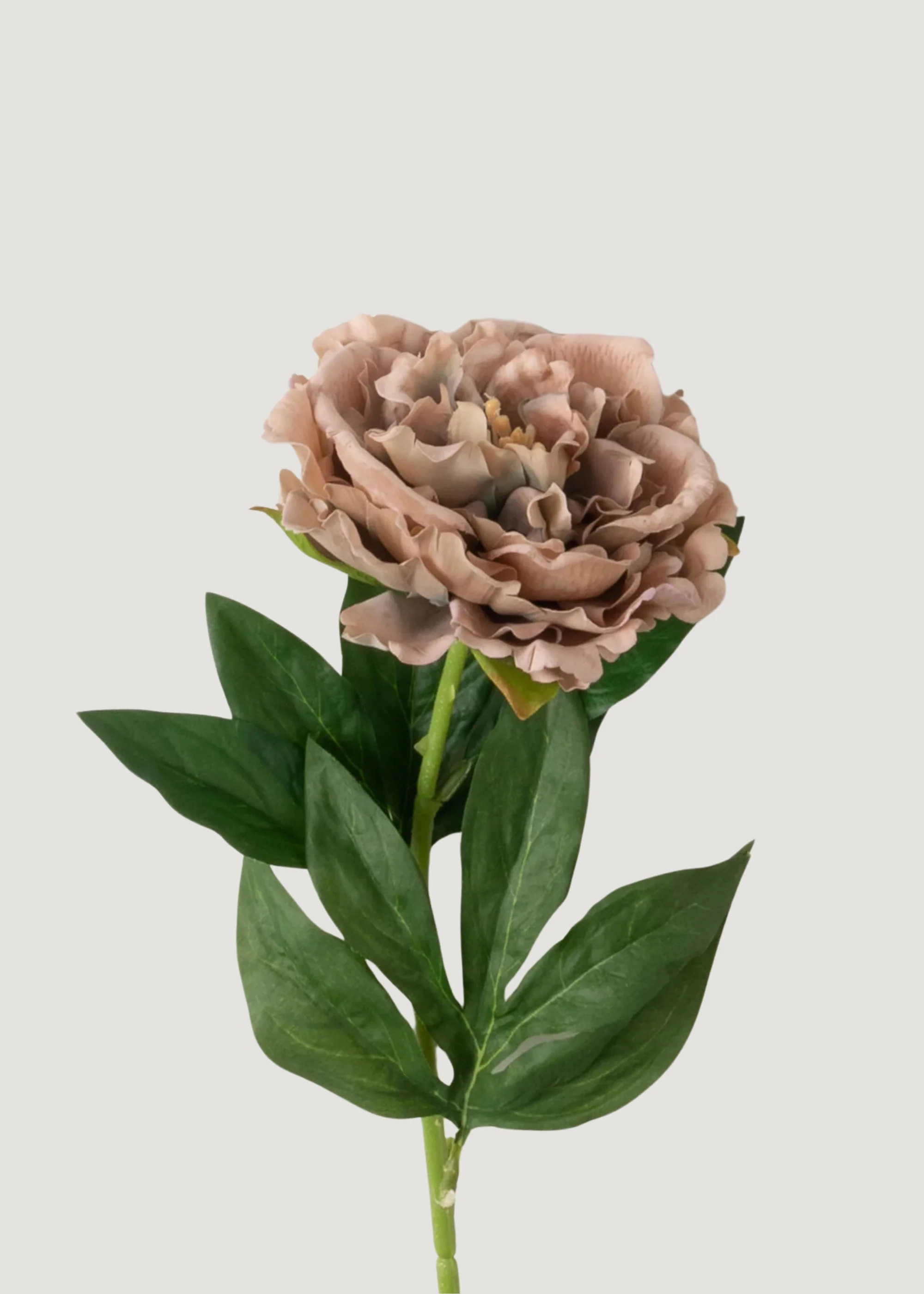Real Touch Peony in Mauve Taupe | Artificial Wedding Flowers | Afloral | Afloral