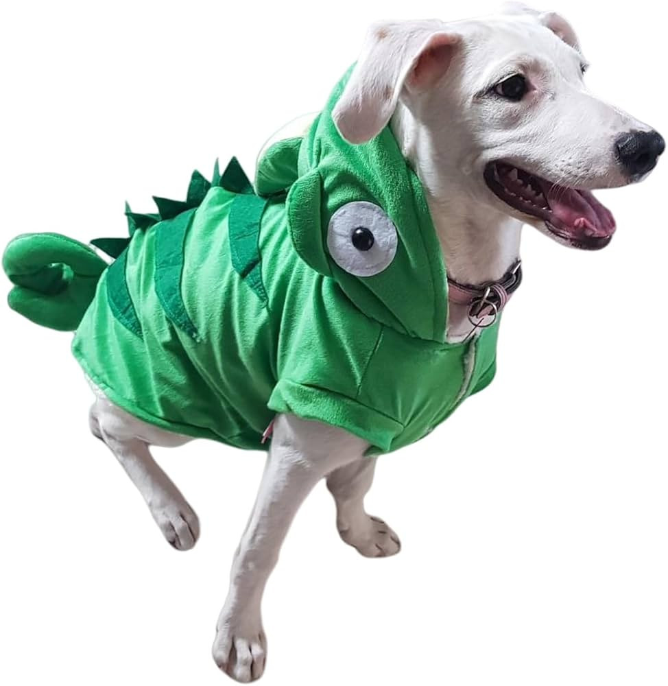 Chameleon Dog Costume for Halloween Winter Fleece Pet Cat Coat Jacket for Small Dog Funny Clothes... | Amazon (US)