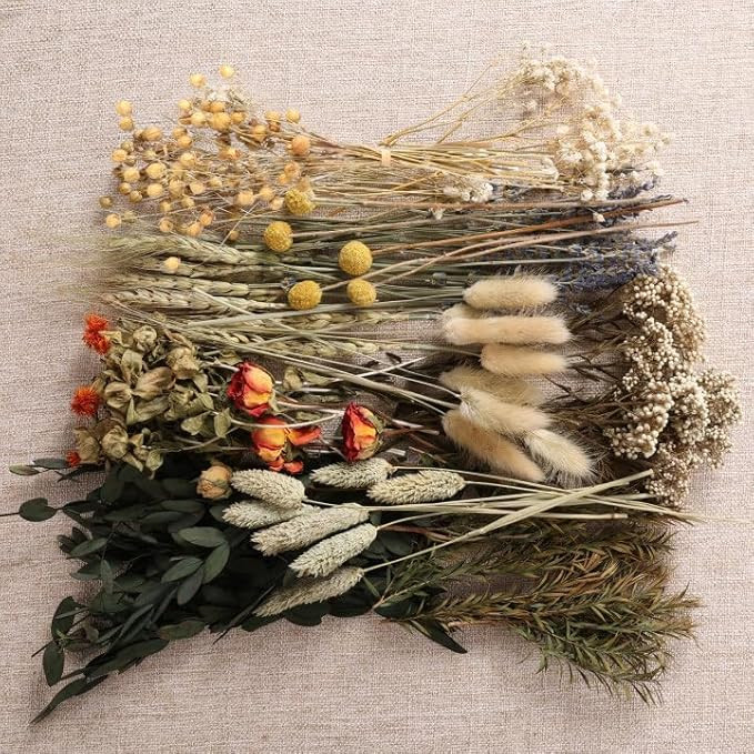 12 Kinds of Dried Flowers for Crafts Bulk DIY Natural Dried Pampas Grass Rose Lavender Babys Brea... | Amazon (US)