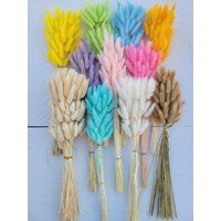 Dried Bunny Tails 60 Pcs - Rabbit Grass Stems Lagurus Grass- Boho Wedding Decor- Home Decor | Etsy (US)