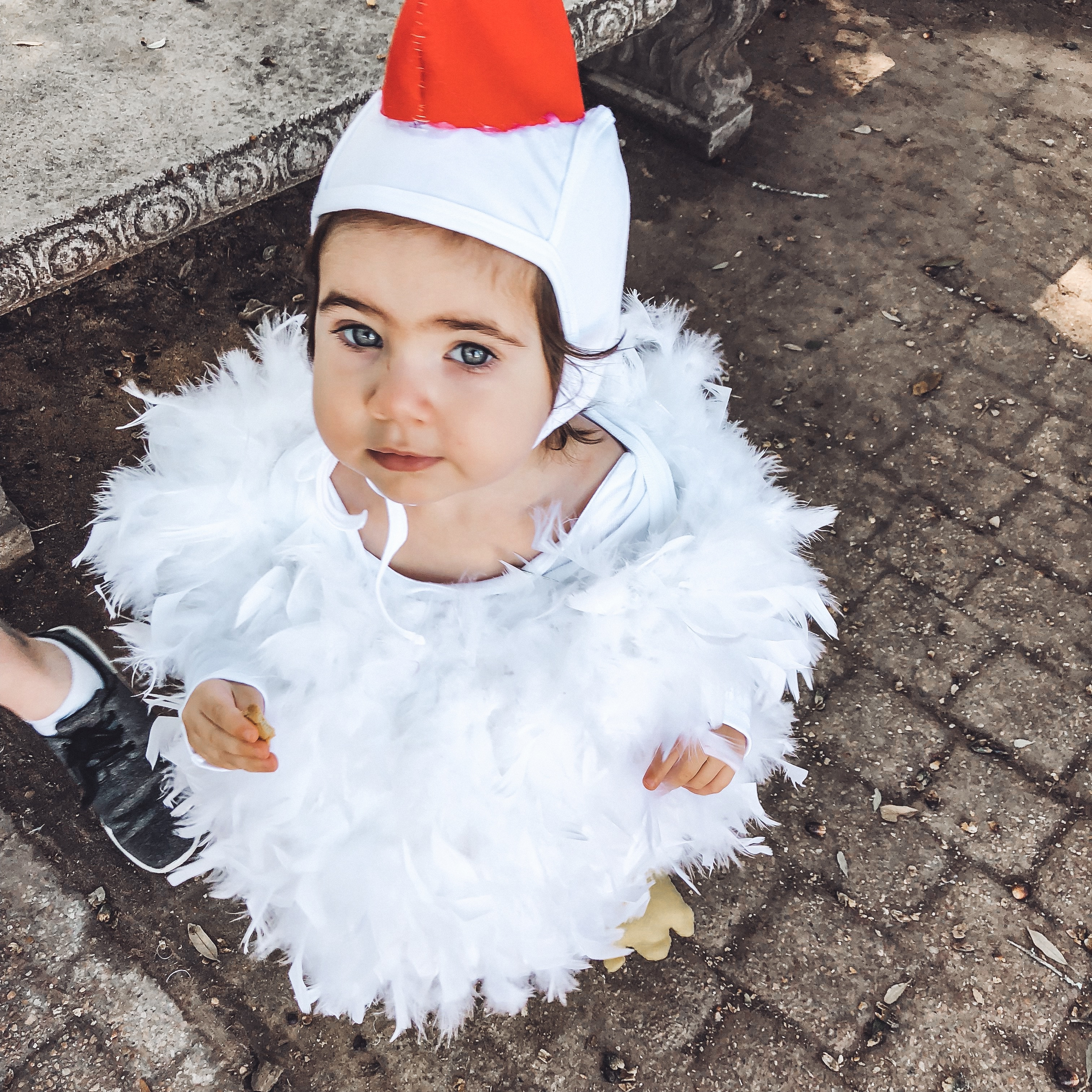 DIY Halloween costume 

Fluffy chicken costume I made for my daughter. I wrote a blog post on my blog: www.meatballmom.com - just search ‘diy’ or ‘costume’ for what I did. 

I got items from Amazon and a craft store- but I tried to link up most things that could be purchased online.  

I used a hot glue gun, safety pins, and a travel sewing kit - minimal sewing skills needed.  





Halloween , Halloween costume , #ltkhalloween , kids costume , diy Halloween 
Paw patrol costume 


#ltkfamily

#LTKFindsUnder50 #LTKKids #LTKHalloween
