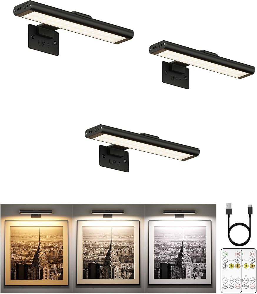 EZVALO Picture Light for Wall, Rechargeable 2400mAh Battery Lights Wireless with IR Remote, 3 Col... | Amazon (US)